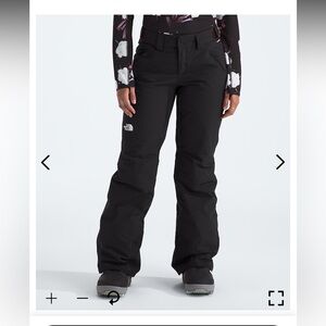 North Face Freedom Insulated Ski Pant